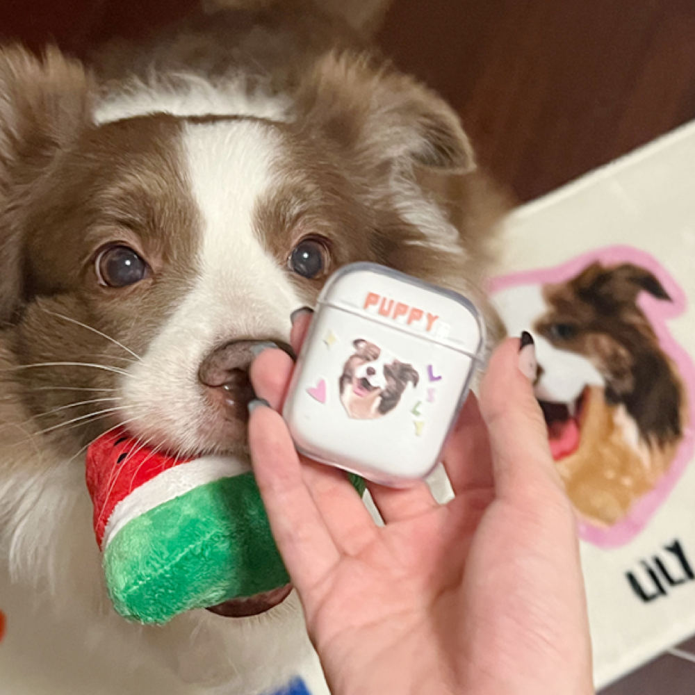 iCreatify Airpod Case